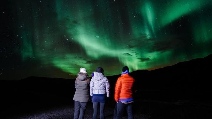 Golden Circle and Northern Lights Small Group Tour from Reykjavík, 11 Hours (1/12)