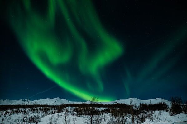 Guided Northern Lights Bus Tour through North Iceland