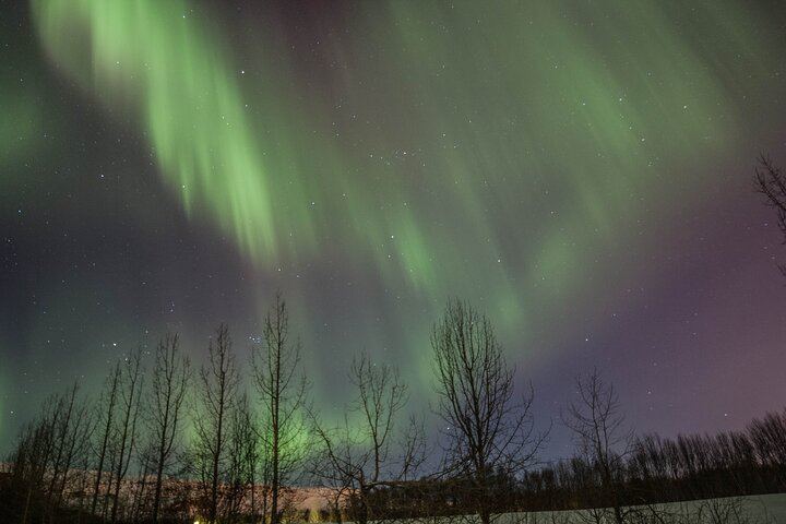 Northern Lights Minibus Hunt from Akureyri with a Local Guide (3/7)