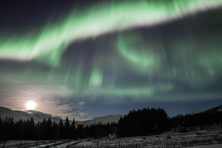 Northern Lights Minibus Hunt from Akureyri with a Local Guide (1/7)