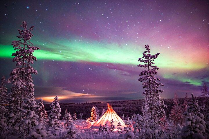 Northern Lights Wilderness Tour from Rovaniemi, Max 8 Guests (2/10)