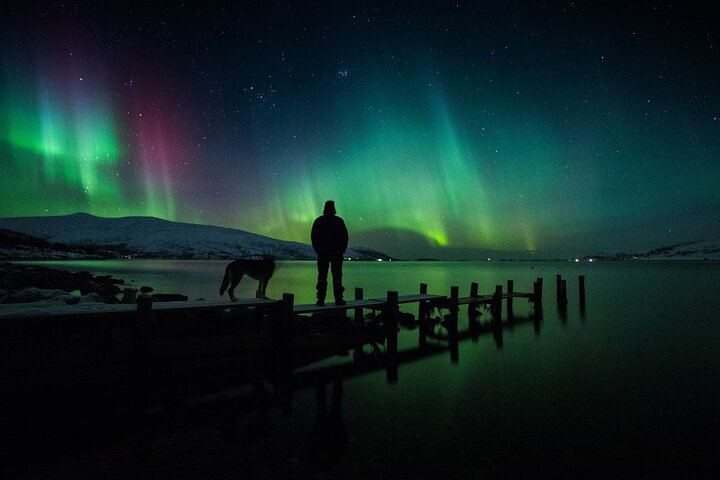 Tromso Northern Lights Minibus Chase, Small Group with Portraits (8/12)
