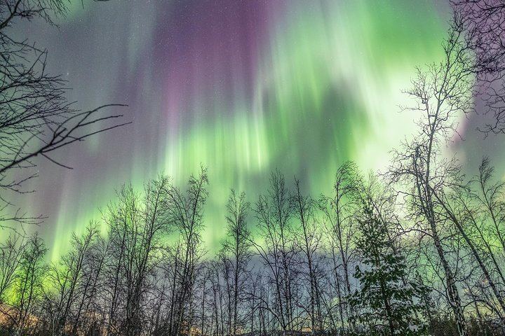 Northern Lights Adventure with Greenlander, Maximum 8 People (5/11)