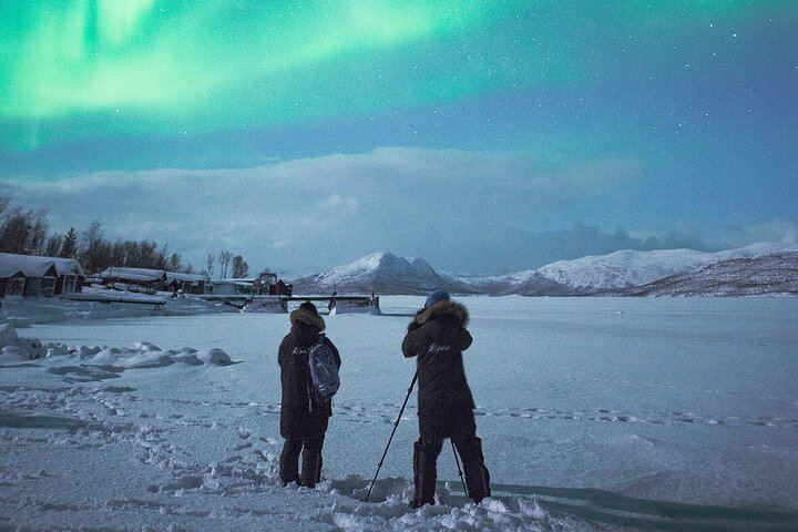 Abisko Aurora Tour from Kiruna with a Three Course Dinner (1/3)