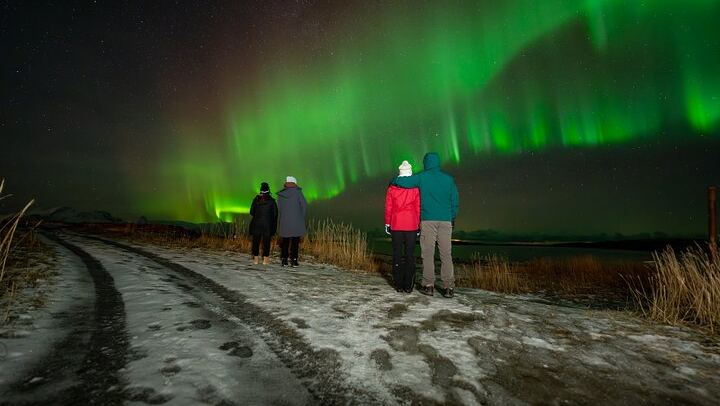 Bodo Northern Lights Safari by 4WD Van with an 85% Hit Rate (2/12)