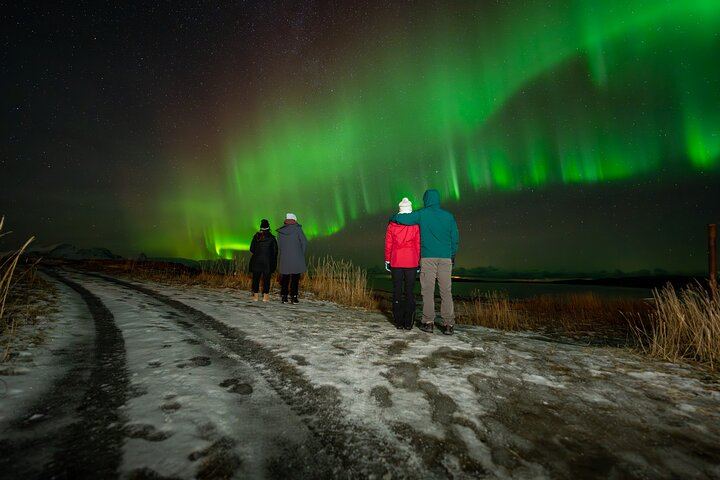 Bodo Northern Lights Safari by 4WD Van with an 85% Hit Rate (2/12)