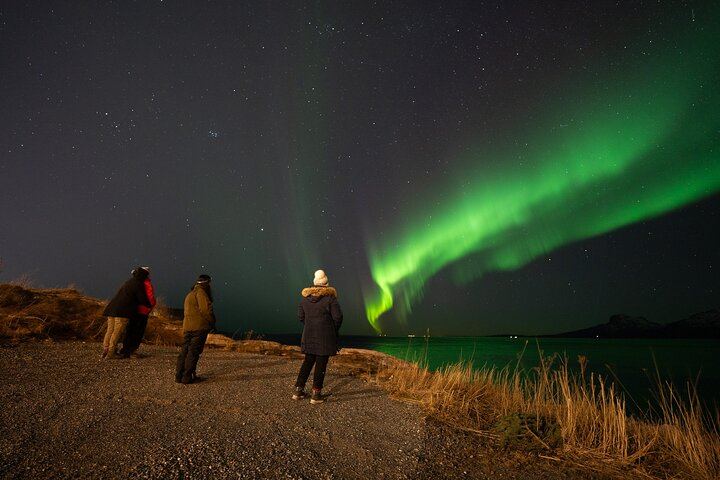 Bodo Northern Lights Safari by 4WD Van with an 85% Hit Rate (9/12)