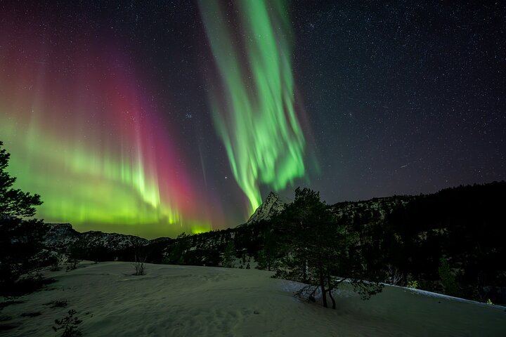 Bodo Northern Lights Safari by 4WD Van with an 85% Hit Rate (7/12)