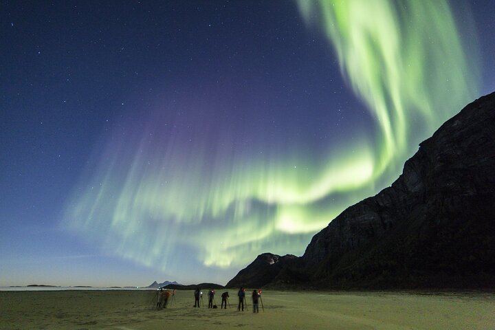 Bodo eBike Northern Lights Tour to Ausvika Beach with Bonfire (5/6)