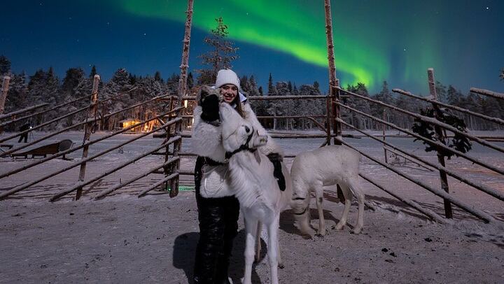 Ranua Aurora Activity Park After Dark with Sauna and Reindeer (2/12)