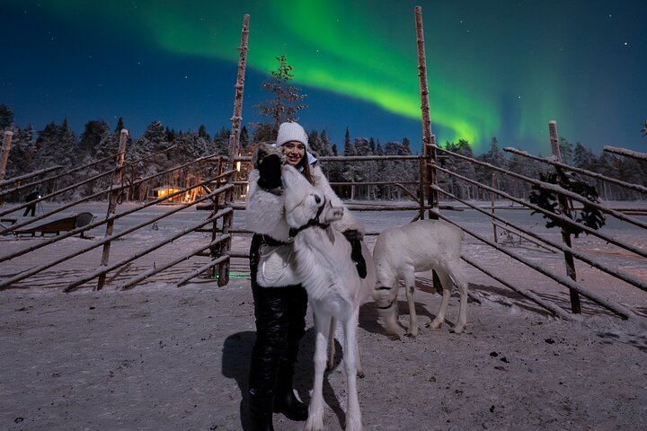 Ranua Aurora Activity Park After Dark with Sauna and Reindeer (2/12)