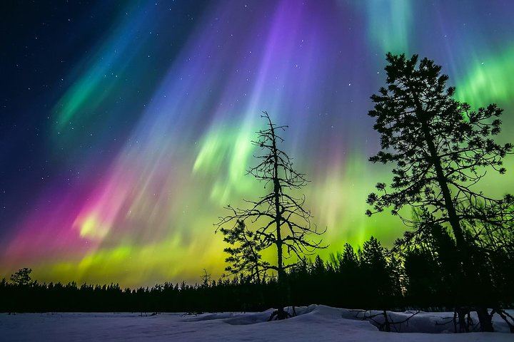 Private Arctic Forest Sauna and Jacuzzi with Northern Lights and BBQ (2/4)