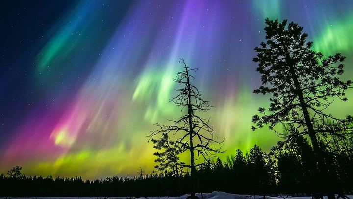 Private Arctic Forest Sauna and Jacuzzi with Northern Lights and BBQ (2/4)