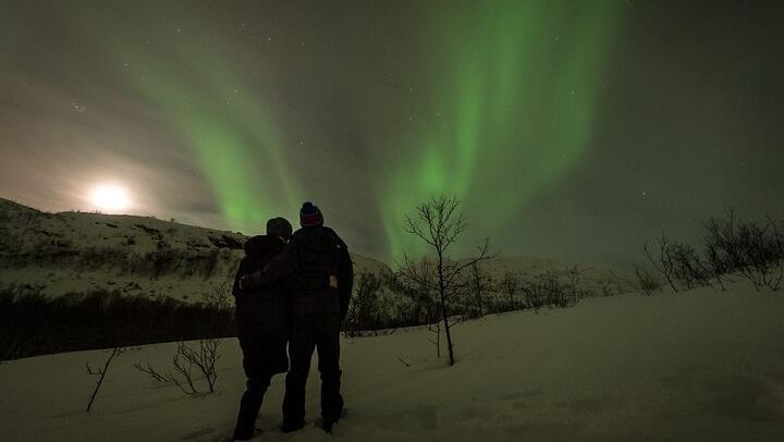 Private Northern Lights Tour near Tromso in a VIP Mercedes (4/6)