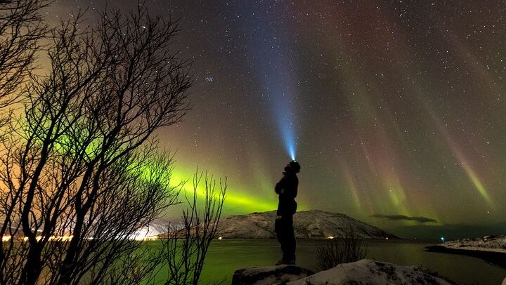 Private Northern Lights Tour near Tromso in a VIP Mercedes (2/6)