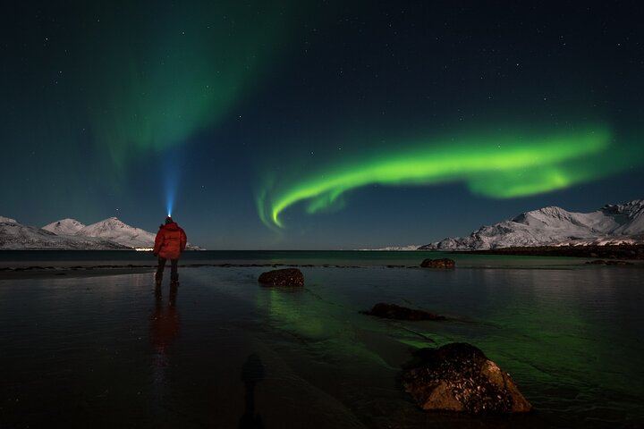 Private Northern Lights Tour near Tromso in a VIP Mercedes (1/6)