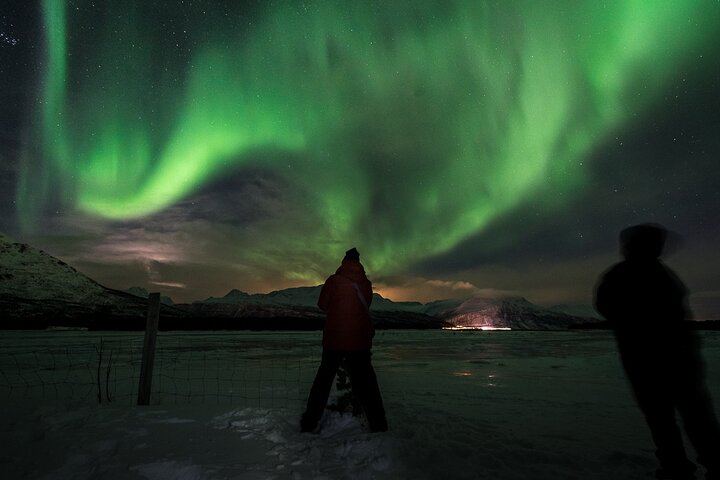 Private Northern Lights Tour near Tromso in a VIP Mercedes (5/6)