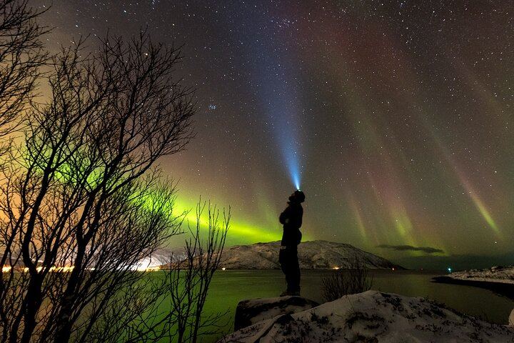 Private Northern Lights Tour near Tromso in a VIP Mercedes (2/6)