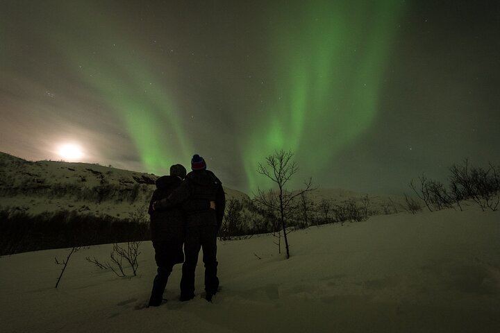 Private Northern Lights Tour near Tromso in a VIP Mercedes (4/6)