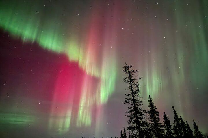 Private 4x4 Northern Lights Hunt from Levi with Aurora Guarantee (8/8)