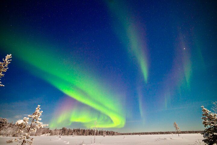 Private 4x4 Northern Lights Hunt from Levi with Aurora Guarantee (4/8)
