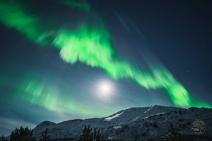 Minibus Northern Lights Chase from Tromso with Photography (6/9)