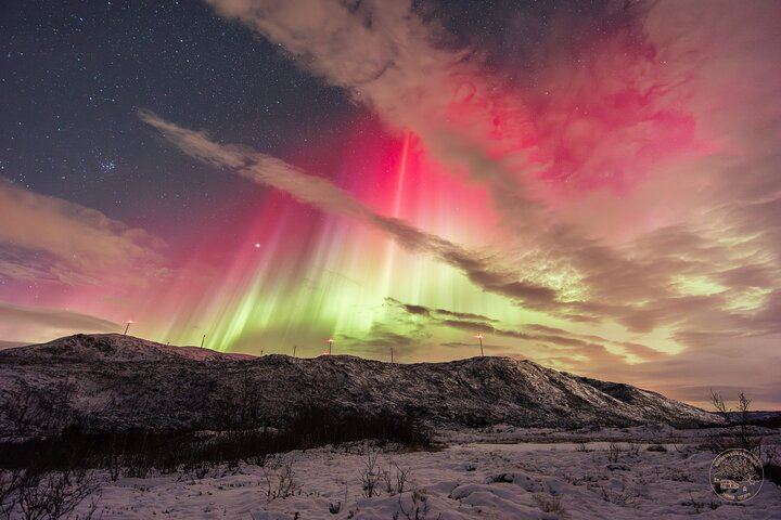 Private Northern Lights Chase from Tromso with Photography (6/10)