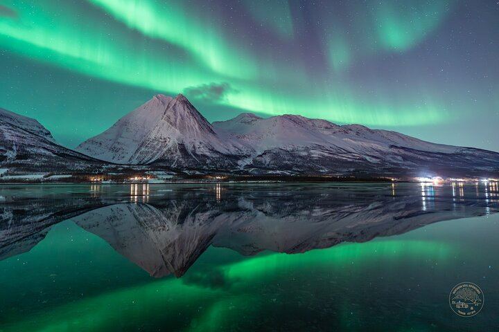 Private Northern Lights Chase from Tromso with Photography (3/10)