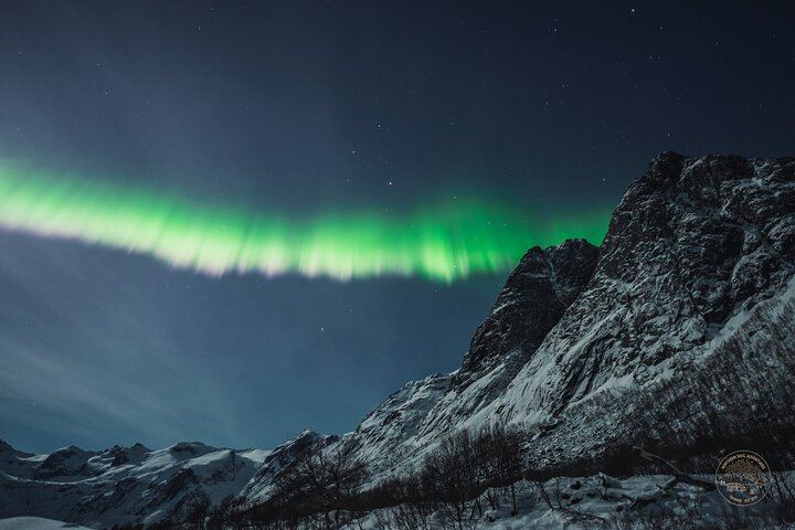 Minibus Northern Lights Chase from Tromso with Photography (9/9)