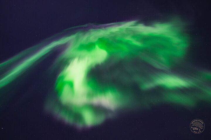 Minibus Northern Lights Chase from Tromso with Photography (7/9)