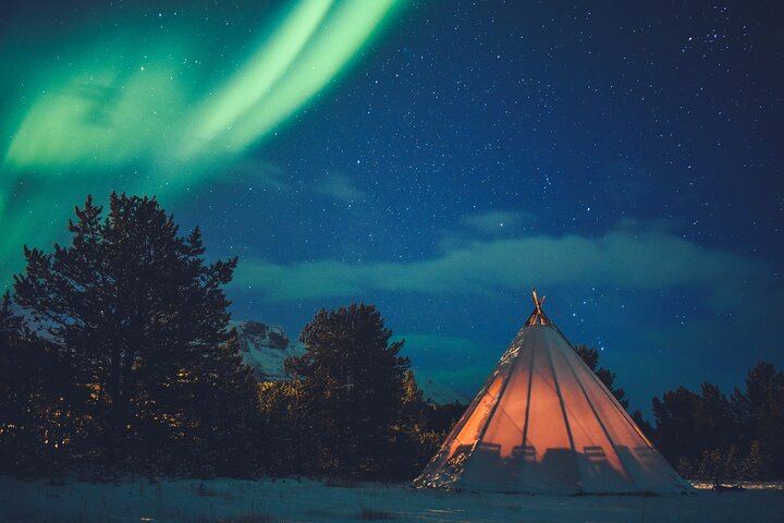 Private Northern Lights Experience from Tromso in a Mercedes (8/12)