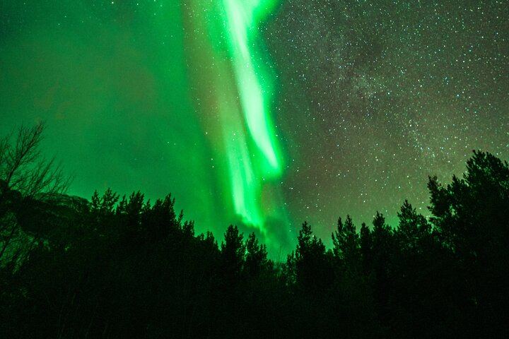 Private Northern Lights Experience from Tromso in a Mercedes (12/12)