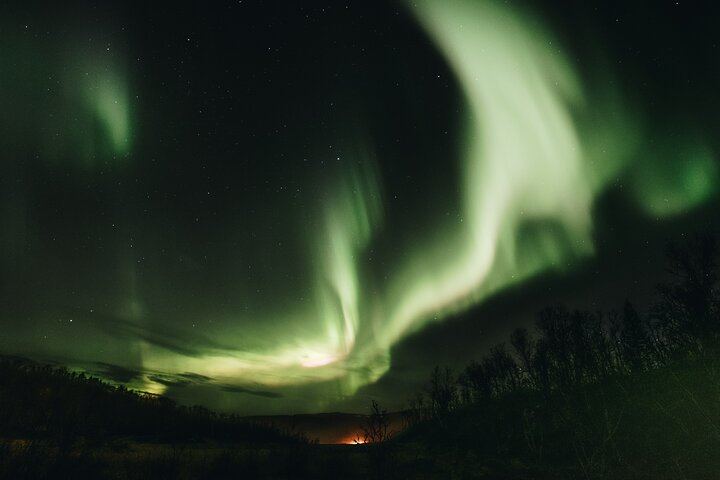 Private Northern Lights Experience from Tromso in a Mercedes (11/12)