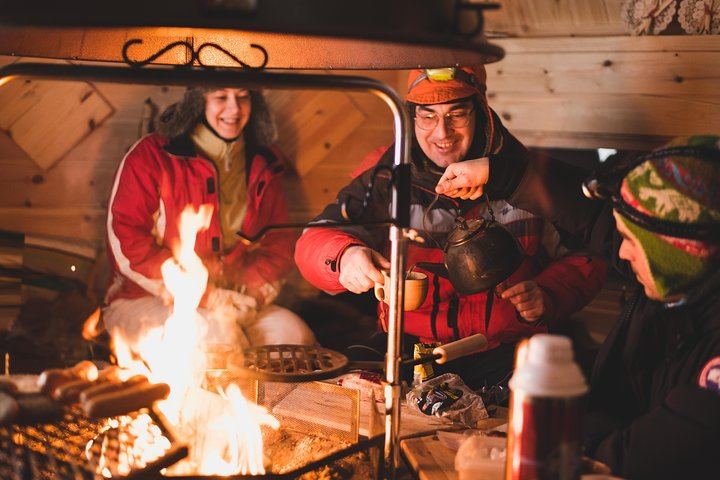 Private Northern Lights Hunting Expedition from Rovaniemi, 2 to 6 People (7/10)