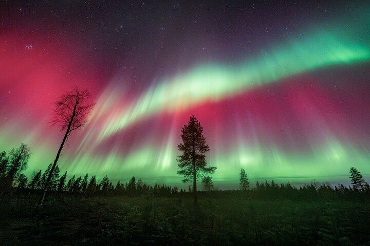Fototour zur Beobachtung des Polarlichts in einer kleinen Gruppe, gestartet in Rovaniemi, mit Beyond Arctic (10/12)