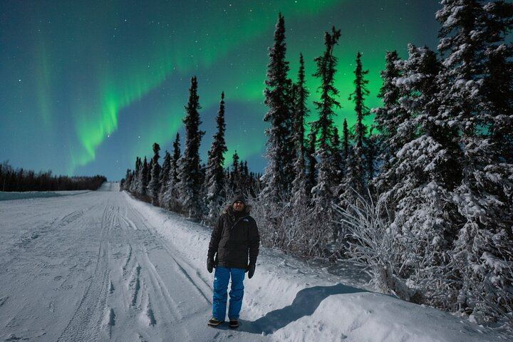 Private Northern Lights Photography Tour in Fairbanks, Max Three Guests (6/12)