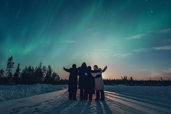 Private Northern Lights Photography Tour from Rovaniemi, 4 to 5 Hours (6/12)