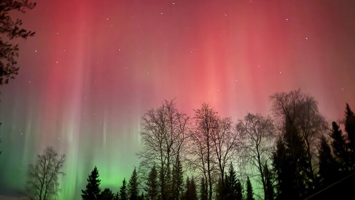 Northern Lights Small Group Tour from Rovaniemi, Photos Included (3/4)