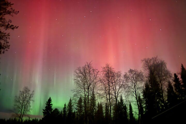 Northern Lights Small Group Tour from Rovaniemi, Photos Included (3/4)