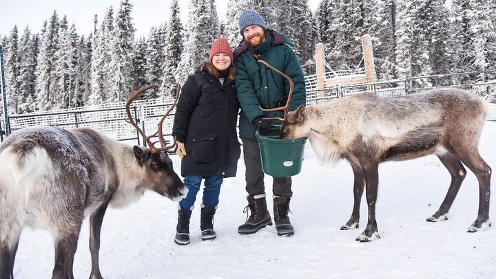 Dog Sled and Reindeer Day Trip to Borealis Basecamp (4/12)