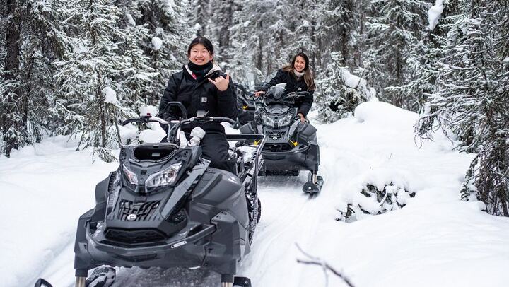 Reindeer and Snowmobile Day Trip to Borealis Basecamp with Lunch