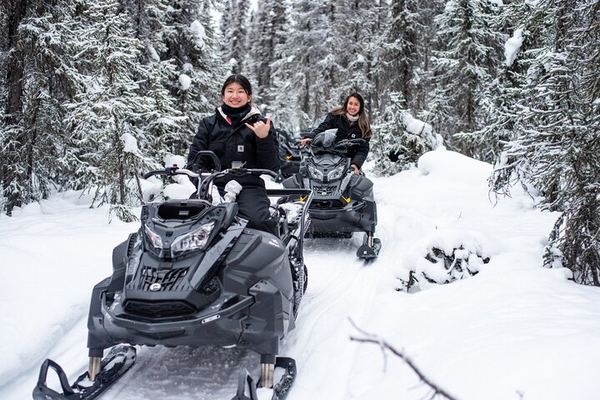 Reindeer and Snowmobile Day Trip to Borealis Basecamp with Lunch