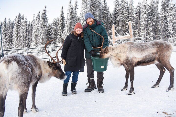 Dog Sled and Reindeer Day Trip to Borealis Basecamp (4/12)