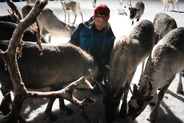Fütterung von Rentieren und Kennenlernen der Sami-Kultur mit der Möglichkeit, das Nordlicht zu sehen (2/12)