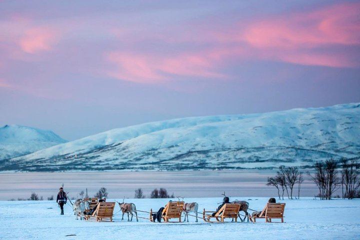 Night Reindeer Sledding with Camp Dinner and a Chance of Aurora (7/12)