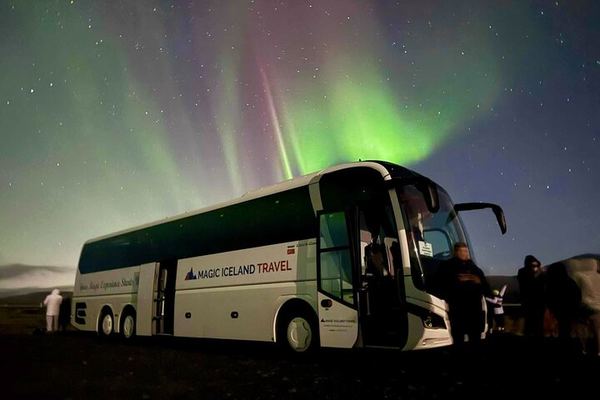 Reykjavík Northern Lights Coach Tour with Wi-Fi, Restroom and Hot Chocolate