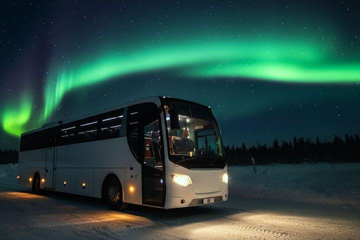 Reykjavík Northern Lights Bus Tour with Hot Chocolate and Dynamic Routing (11/12)