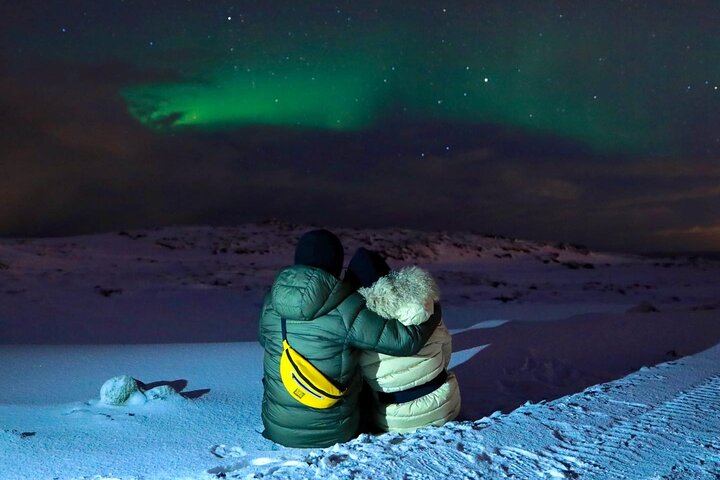 Golden Circle and Northern Lights Tour from Reykjavík in One Day (4/8)