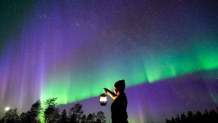 Heated Coach Aurora Hunt from Rovaniemi with Photos and No Aurora, No Payment (1/12)