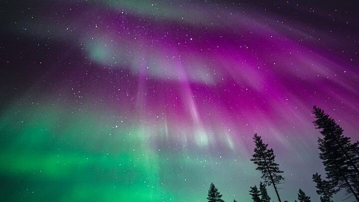 Rovaniemi Aurora Tour with Money Back Guarantee and Free Photos, 4 to 6 Hours (1/7)